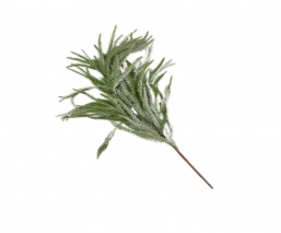 ����������������� ����� Frozen 100% PE 58cm ��� ��� ������� Epilegin.