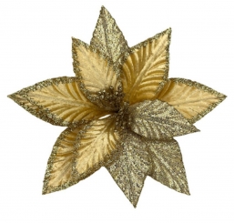 ����������������� ����������� ��� ����� 28cm ��� ��� ������� Epilegin.