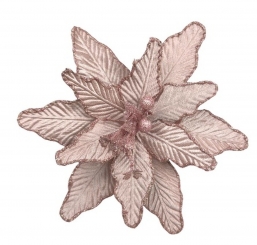 ����������������� ����������� ��� ��� 26cm ��� ��� ������� Epilegin.