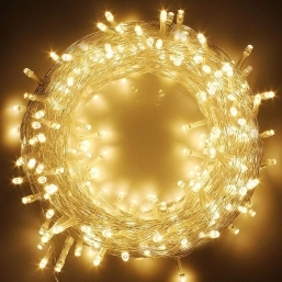 100 LED   -    220V     Epilegin.