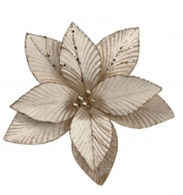 ����������������� ����������� ��� ������� 26cm ��� ��� ������� Epilegin.