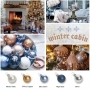  Winter Cabin
