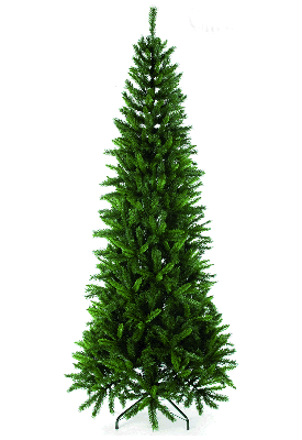 Slim δεντρα