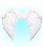  ����������� ����� ����� 50x40cm 