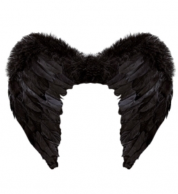 ����������� ����� ����� 50x40cm ��� ��� ������� Epilegin.