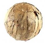      25 
