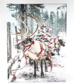 ����������������� ������������ ����� �� ������� ����  30�40�1,8�� ��� ��� ������� Epilegin.