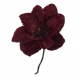    Oxblood 24cm    Epilegin.