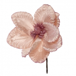    Blush Pink 24cm    Epilegin.