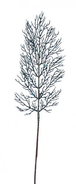   Olive Green 57cm    Epilegin.