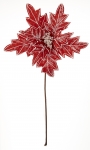  Χριστογεννιάτικο λουλούδι αλεξανδρινό κόκκινο 60εκ 