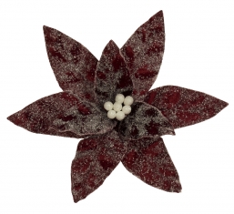    Oxblood 30cm    Epilegin.