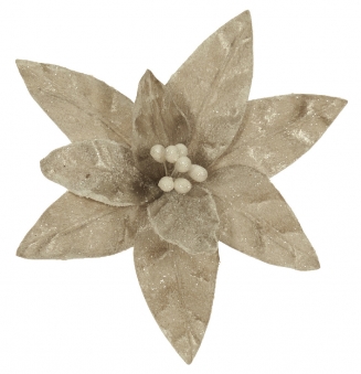    Frosted White 30cm