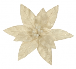    Off White 30cm    Epilegin.