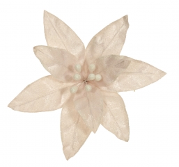    Blush Pink 30cm    Epilegin.