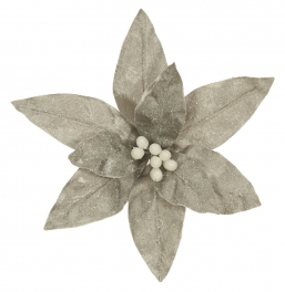    Bright Silver 30cm    Epilegin.