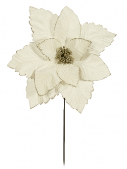    Off White 40cm    Epilegin.