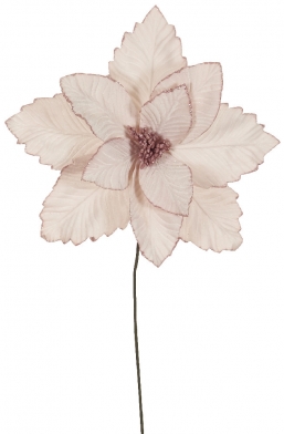    Blush Pink 40cm    Epilegin.