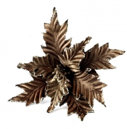    Dark Brown 25cm    Epilegin.