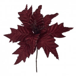    Oxblood 25cm    Epilegin.