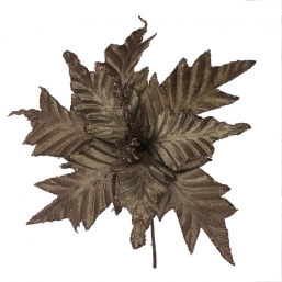    Chocolat 25cm    Epilegin.