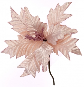    Blush Pink 25cm