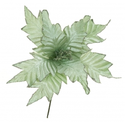 Χριστουγεννιάτικο λουλούδι Αλεξανδρινό Sage Green 25cm από την εταιρία Epilegin. Χριστουγεννιάτικο λουλούδι Αλεξανδρινό Sage Green 25cm από την εταιρία Epilegin.