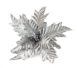    Bright Silver 20cm    Epilegin.