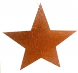  Χριστουγεννιατικο πλακέ αστέρι Copper 14cm 