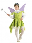    Flower Fairy 