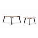  Μεταλλικό Σετ 2τμχ Emira Coffee Table 85x45x40|130x65x45cm 