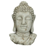     Antique White 221732 