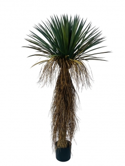 ������� ���� Yucca 70x70x150cm ��� ��� ������� Epilegin.