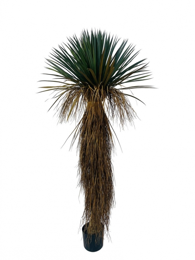  ������� ���� "Yucca" 70x70x180cm ��� ��� ������� Epilegin. 