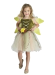    Rainforest Fairy 