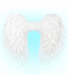  ����������� ����� ����� 80x60�� 