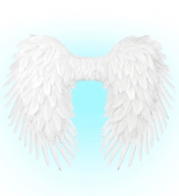 ����������� ����� ����� 80x60�� ��� ��� ������� Epilegin.