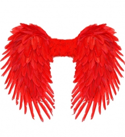 ����������� ����� ������� 80x60cm ��� ��� ������� Epilegin.