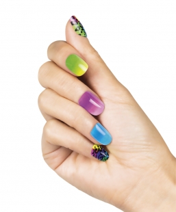   Set 24 Flashy    Epilegin.