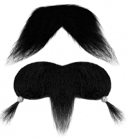 ����������� ����� & �������� �������� ����� ��� ��� ������� Epilegin.