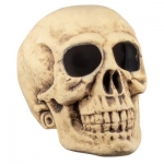  ����������� �����������  Master Brain  40X35 �� 