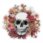  o   "Day of the Dead" 4650cm 