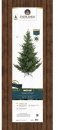    Plastic Norway Spruce 2.10m 