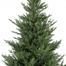    Plastic Norway Spruce 3.00m 