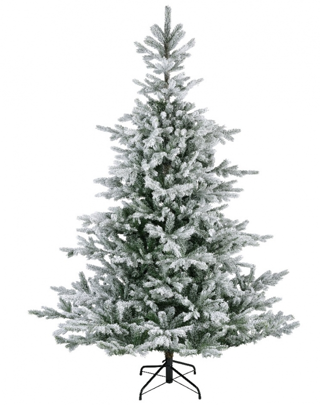     Grandis Fir Snowy 2.10m    Epilegin. 