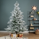     Grandis Fir Snowy 2.10m 