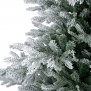     Grandis Fir Snowy 2.10m 