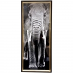  Διακοσμητικός πίνακας "Boho Elephant" 45X105cm 