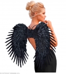  ����������� ����� ����� 80x60�� 