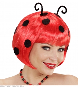   ladybug    Epilegin.